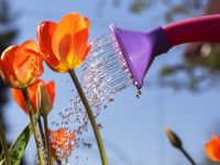 我大概錯過了2022年的一整個春天，卻收獲了更多屬于這個春天的溫暖