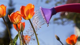 我大概錯過了2022年的一整個春天,卻收獲了更多屬于這個春天的溫暖 我大概錯過了2022年的一整個春天,卻收獲了更多屬于這個春天的溫暖