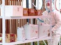 上海大潤發九成恢復營業，更多小區快遞可“次日達”