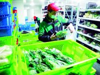 松江4家電商平臺前置倉開業六成 380余名騎手恢復上路