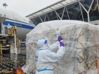 浦東機場貨運區連夜召回生產作業和備勤人員駐場封閉作業