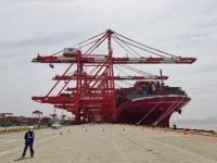 上海港一季度吞吐量同比增長8.14%，多措并舉應對疫情影響