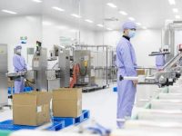 芯片不斷供、疫苗保生產……一批上海國企“反向隔離”，開足馬力保供應