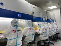 復工復產中的上海生物醫藥企業:抗腫瘤藥產線已恢復,檢測機構備戰報復性增長 復工復產中的上海生物醫藥企業:抗腫瘤藥產線已恢復,檢測機構備戰報復性增長