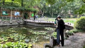 楊浦兩座大型綜合公園重開！市民來賞蓮要注意這些事項