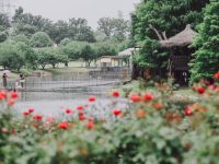 上海八成城市公園已恢復開放,端午假期被擠爆?現實有點意外 上海八成城市公園已恢復開放,端午假期被擠爆?現實有點意外