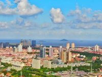 上海金山出臺惠企紓困“40條”新政，全文22次提及“小微企業”