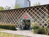 楊浦濱江一座20平方米小屋成熱門地，人人都能來參與城市治理