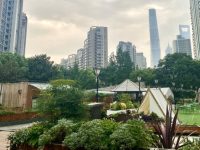 陸家嘴樓頂有共享農場,1.4萬元認領1.44平方米,有人買單嗎? 陸家嘴樓頂有共享農場,1.4萬元認領1.44平方米,有人買單嗎?