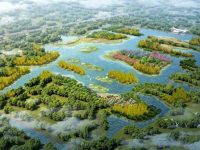 上海這根“項鏈”再添兩顆“珍珠”，計劃年底竣工