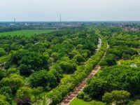 上海一公路中央長出“小型森林”,路旁公交站還能為手機充電 上海一公路中央長出“小型森林”,路旁公交站還能為手機充電