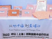 涉及全球首款新冠病毒滅活口罩研發升級等，一批新企業入駐中以（上海）創新園