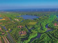 種菌菇的老廠房搖身變成特斯拉配套？南上海這片“留白”空間要起飛了