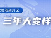 數讀臨港新片區“三年大變樣”：經濟增速驚人，上海新“發動機”當之無愧