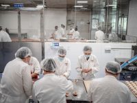 實探疫后上海中小企業，從專精特新“小巨人”到煙火氣食品廠，抗跌真相在于…