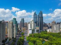 徐匯區域紀法醫廉體揭牌，15家區域主要醫療機構參與