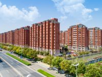 村里的股金分紅八連漲！松江小昆山鎮做大做強集體資產“鼓”了村民錢袋