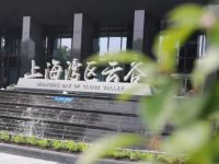 上海灣區打造“數字化轉型”策源高地，今天發布5G+工業互聯網平臺產品