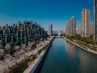 “半馬蘇河”，將如何打造長三角的普陀會客廳？