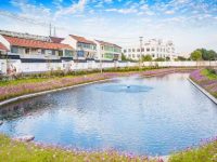 上海金山建立空氣質量報警溯源機制：一旦超標報警，24小時內鎖定源頭并整改