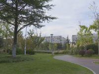 閔行巧用城市“邊角料”，與居民“有商有量”，打造家門口的口袋公園