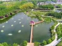 全市“名車一條街”、全市“最美小河”都在普陀這里，老牌工業園十年走出煥新路