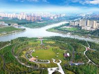 直接發放現金補貼！上海這個區今年落實四個“三百萬”項目，幫扶困難群眾