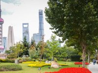 上海森林覆蓋率增至19.42%，固碳釋氧價值超過38億元