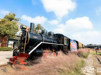 中成智谷為何能成為“現象級園區”?讓我們實地走一走 中成智谷為何能成為“現象級園區”?讓我們實地走一走