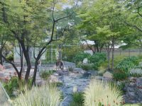 長寧打造“水韻生境花園”，明年上半年建成開園