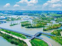 金山漕涇郊野公園宣布開園，里面藏著上海版“羊角村”