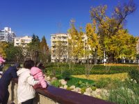 20多年前經歷“生死考驗”，如今老宅重新裝修，上千歲的“三姐”被圍觀