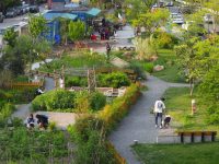 上海社區新事多:新空間新社群延續黏性,重塑鄰里關系 上海社區新事多:新空間新社群延續黏性,重塑鄰里關系