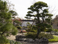 上海又一座江南園林即將驚艷亮相，借鑒三座江南古典名園