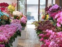 青浦新增一市級花卉產業綜合體，“虹橋花谷”項目在華新鎮開工