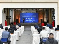 一件政協提案牽起一個產業聯盟!金山區推動汽車全產業鏈協同發展 一件政協提案牽起一個產業聯盟!金山區推動汽車全產業鏈協同發展