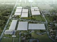 航頭鎮：實干創新、突破跨越，高水平建設活力品質幸福航頭