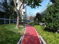 中環“植物綠帶”留下“淞滬記憶”,汶水東路綠化景觀提升后全新亮相開放 中環“植物綠帶”留下“淞滬記憶”,汶水東路綠化景觀提升后全新亮相開放