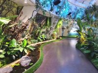 有17年歷史的這座商業“巨無霸”,迎來開業以來力度最大一次城市更新 有17年歷史的這座商業“巨無霸”,迎來開業以來力度最大一次城市更新