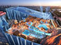 亞洲最大滑雪場、世界一流足球基地…上海這個新城體育場地水平將達全國前列