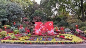 花卉、燈籠、中國節……來看楊浦各大公園濃濃年味