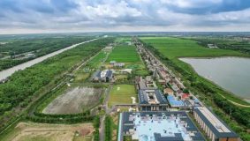 靠著科技力量，崇明這家開心農場總產值已達數千萬元