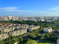 各項經濟指標超額完成！疫情之下，閔行這個鎮去年跑出經濟“加速度”