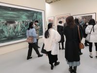 3大國家級展覽、43項新春文旅活動…閔行用一波“文化盛宴”奏響春天的序曲