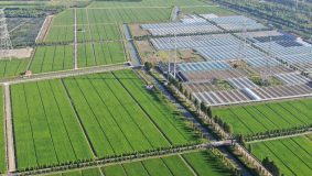 松江農業綠色發展指數躍居全國第一，這項關鍵指標五年增長30倍！