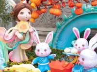 上千萬盆花草生機勃勃迎新春,上海街頭和公園綠地已備好年味 上千萬盆花草生機勃勃迎新春,上海街頭和公園綠地已備好年味