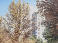 超6000平方米口袋公園+道路拓寬工程進行時!漕溪片區正在大變身 超6000平方米口袋公園+道路拓寬工程進行時!漕溪片區正在大變身