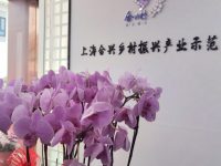 崇明區港沿鎮建鄉村振興產業示范園，為入駐企業提供全流程服務