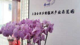 崇明區港沿鎮建鄉村振興產業示范園，為入駐企業提供全流程服務