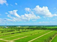 農業現代化“芯片”，可能藏在農戶蔬菜攤里？要培育“好”的也保留“野”的